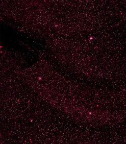 Pink Gellac - Dramatic Red - Gellak - Vegan - Rood - Shimmer Finish - 15 Ml 5 Pink Gellac - Dramatic Red - Gellak - Vegan - Rood - Shimmer Finish - 15 Ml -Max Factor Verkoop 1050x1200 46