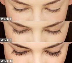 Nanolash Wimperserum 31 Nanolash Wimperserum -Max Factor Verkoop 1200x1054