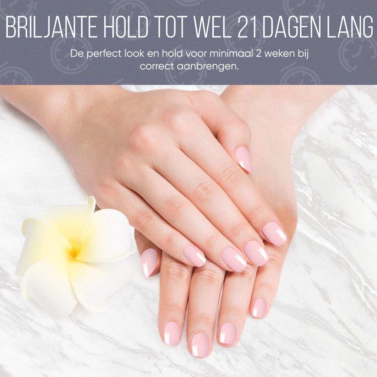 Gellak Starterspakket - Gellak - Gel Nagellak - Gellak Set - 6x8ML Kleuren - Nude Edition - Gellac - Nude Kleuren 3 Gellak Starterspakket - Gellak - Gel Nagellak - Gellak Set - 6x8ML Kleuren - Nude Edition - Gellac - Nude Kleuren - Afbeelding 3