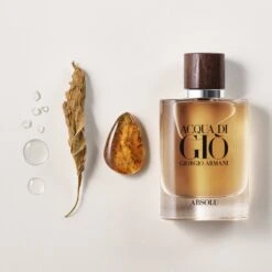 Giorgio Armani Acqua Di Gio Absolu 75ml - Eau De Parfum - Herenparfum 32 Giorgio Armani Acqua Di Gio Absolu 75ml - Eau De Parfum - Herenparfum -Max Factor Verkoop 1200x1200 324