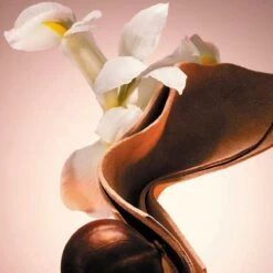 Hugo Boss The Scent Le Parfum Eau De Parfum 100 Ml 13 Hugo Boss The Scent Le Parfum Eau De Parfum 100 Ml -Max Factor Verkoop 1200x1200 352