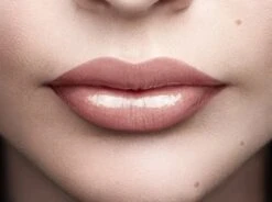 L'Oréal Paris Color Riche Shine Lippenstift - 658 Topless 11 L'Oréal Paris Color Riche Shine Lippenstift - 658 Topless -Max Factor Verkoop 1200x895