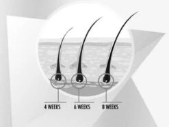 Nanolash Wimperserum 19 Nanolash Wimperserum -Max Factor Verkoop 1200x905