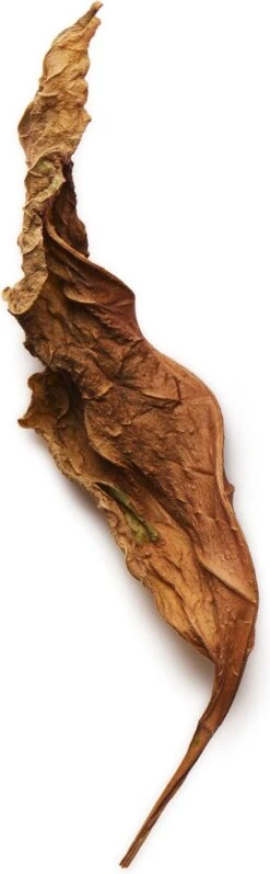 Giorgio Armani Acqua Di Gio Absolu 75ml - Eau De Parfum - Herenparfum 30 Giorgio Armani Acqua Di Gio Absolu 75ml - Eau De Parfum - Herenparfum -Max Factor Verkoop 372x1200