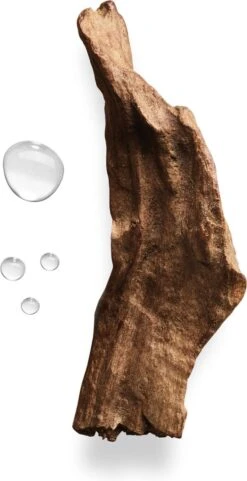 Giorgio Armani Acqua Di Gio Absolu 75ml - Eau De Parfum - Herenparfum 34 Giorgio Armani Acqua Di Gio Absolu 75ml - Eau De Parfum - Herenparfum -Max Factor Verkoop 616x1200