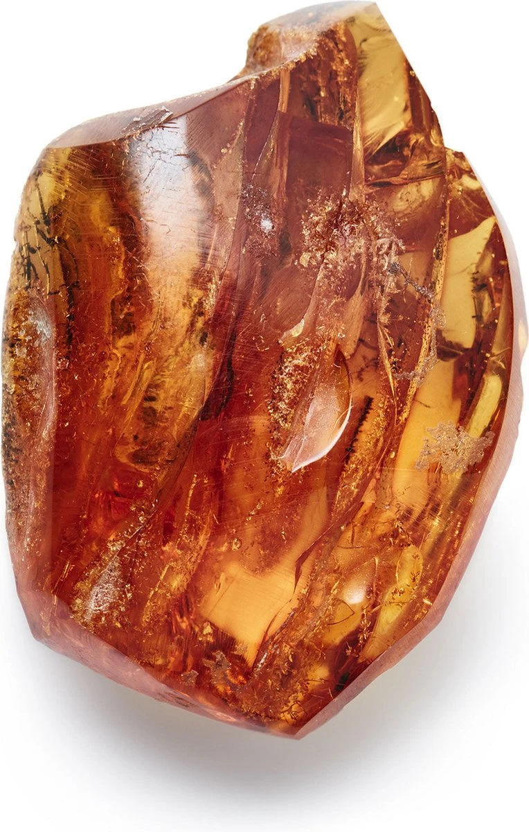 Giorgio Armani Acqua Di Gio Absolu 75ml - Eau De Parfum - Herenparfum 12 Giorgio Armani Acqua Di Gio Absolu 75ml - Eau De Parfum - Herenparfum - Afbeelding 12