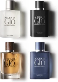 Giorgio Armani Acqua Di Gio Absolu 75ml - Eau De Parfum - Herenparfum 36 Giorgio Armani Acqua Di Gio Absolu 75ml - Eau De Parfum - Herenparfum -Max Factor Verkoop 844x1200 1