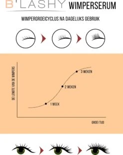 B’LASHY® Wimperserum - Wimper Groeimiddel - Wimper Serum Voor Sterke, Lange En Volle Wimpers - 5 Ml 18 B’LASHY® Wimperserum - Wimper Groeimiddel - Wimper Serum Voor Sterke, Lange En Volle Wimpers - 5 Ml -Max Factor Verkoop 951x1200